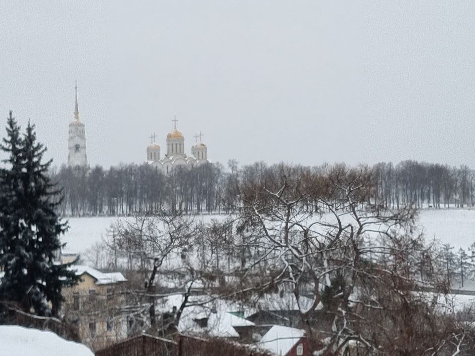 Фото автора, январь 2025 г.