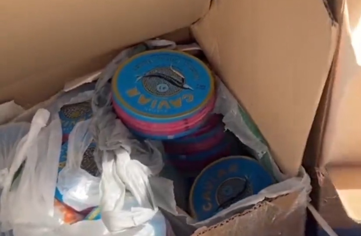    Фото: УМВД по Краснодару