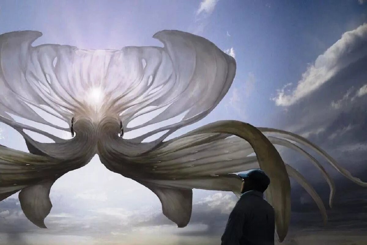 Один из самых необычных инопланетных летающих объектов был представлен в научно-фантастическом триллере Джордана Пила 2022 года выпуска.
Фото: Кадр из фильма «Нет»