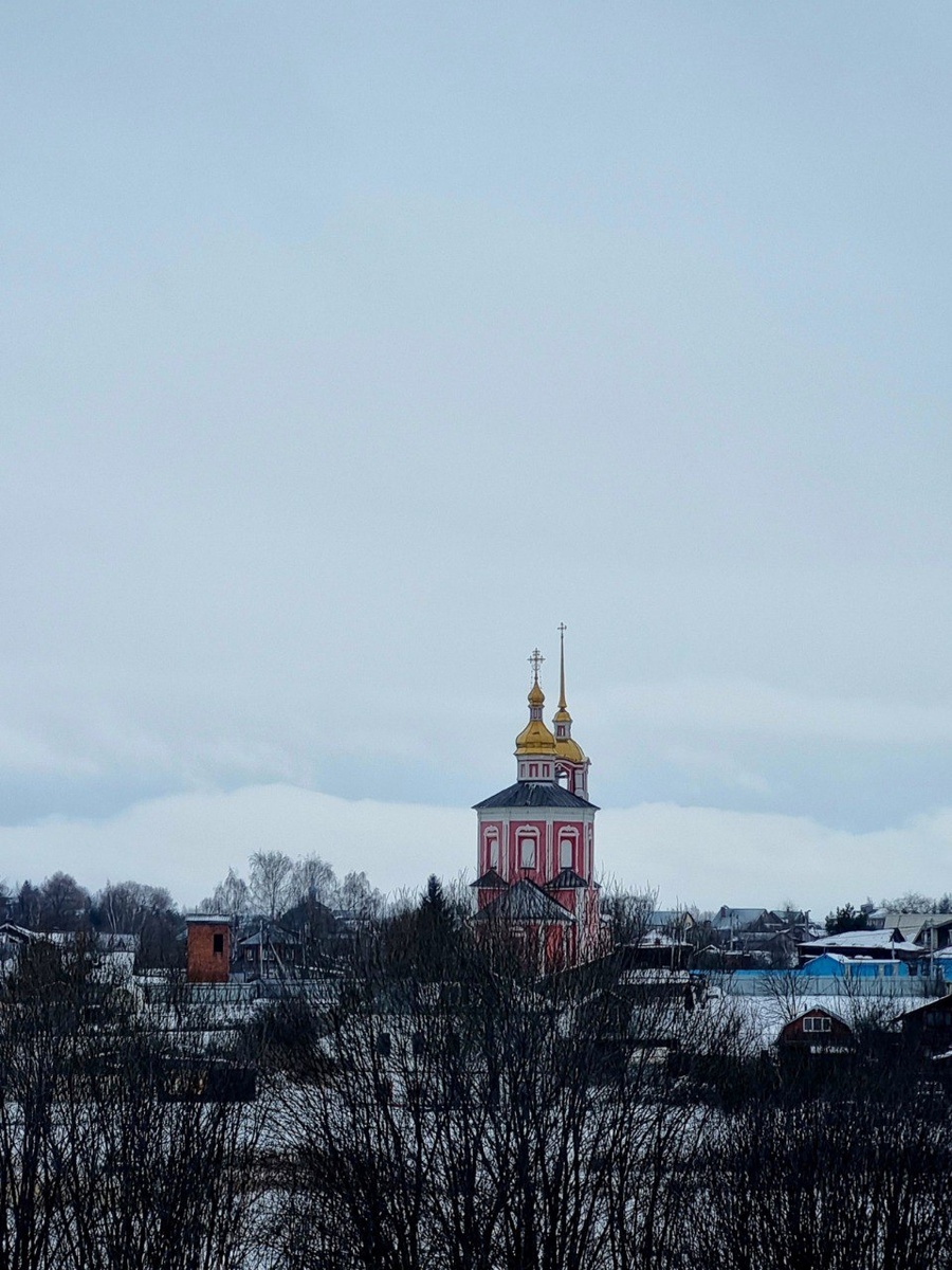 Фото автора, декабрь 2024 г.