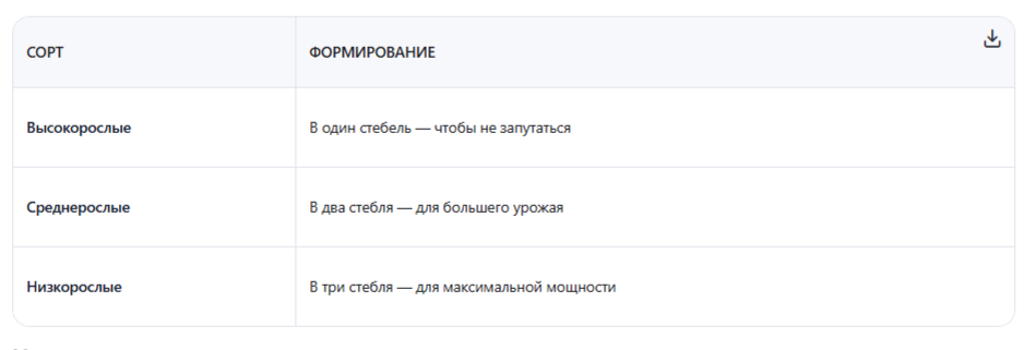 схему формирования куста