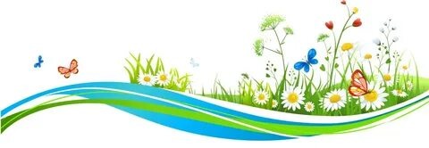 Лето мы тебя ждём. 