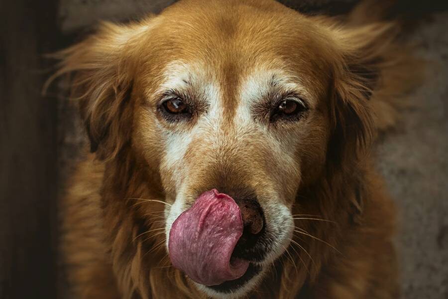 Фото: Erick / Unsplash.com