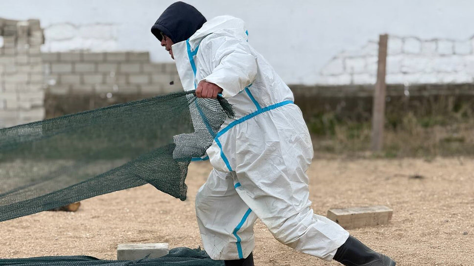 Фото: Telegram-канал оперштаба Кубани