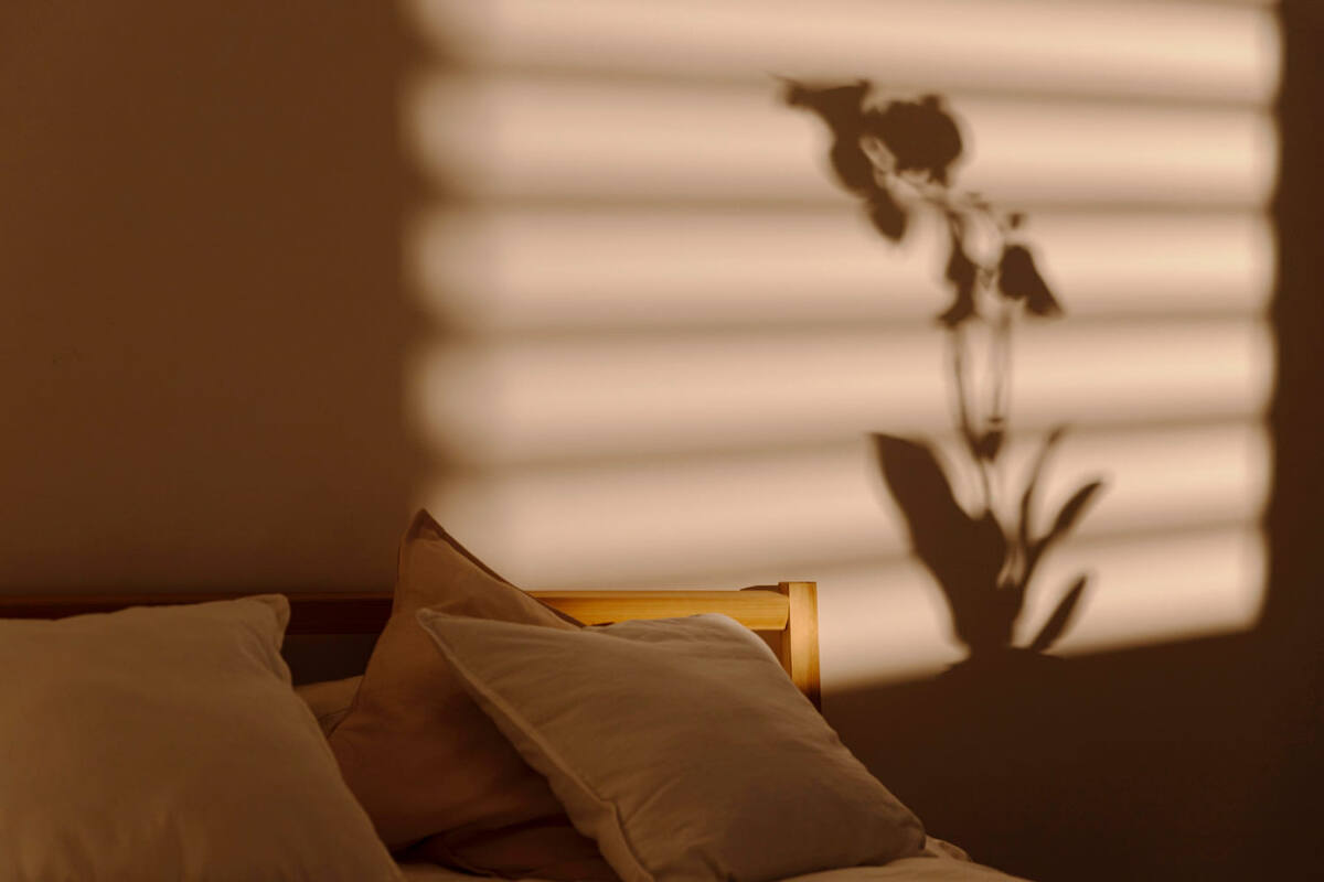 Обложка статьи. Фото из интернета