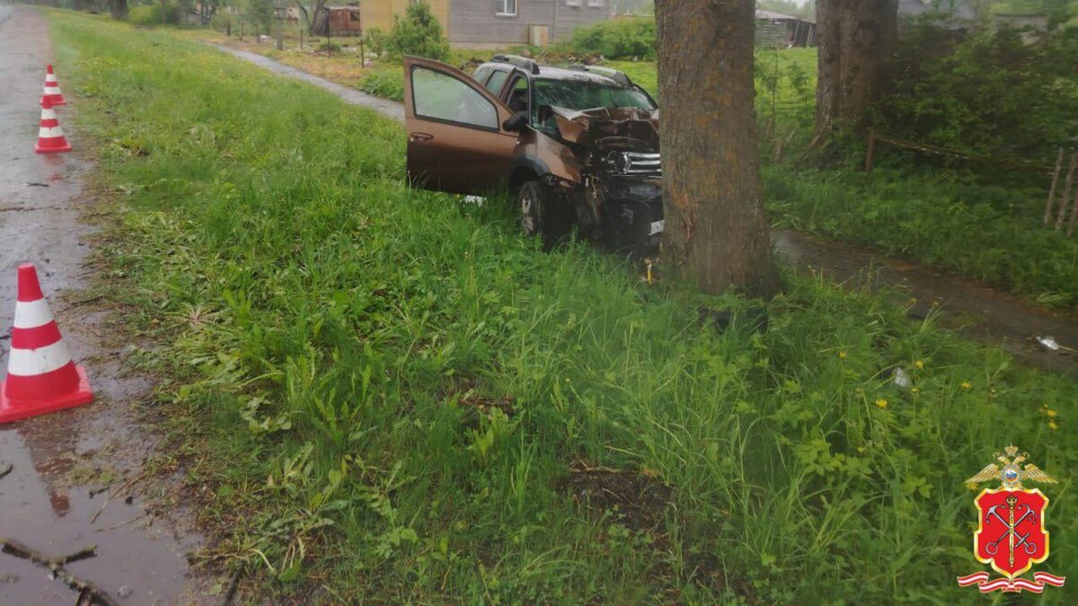    Фото: t.me/spb_police78