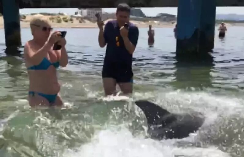 Скрин с видео: t.me/maksanapskii
