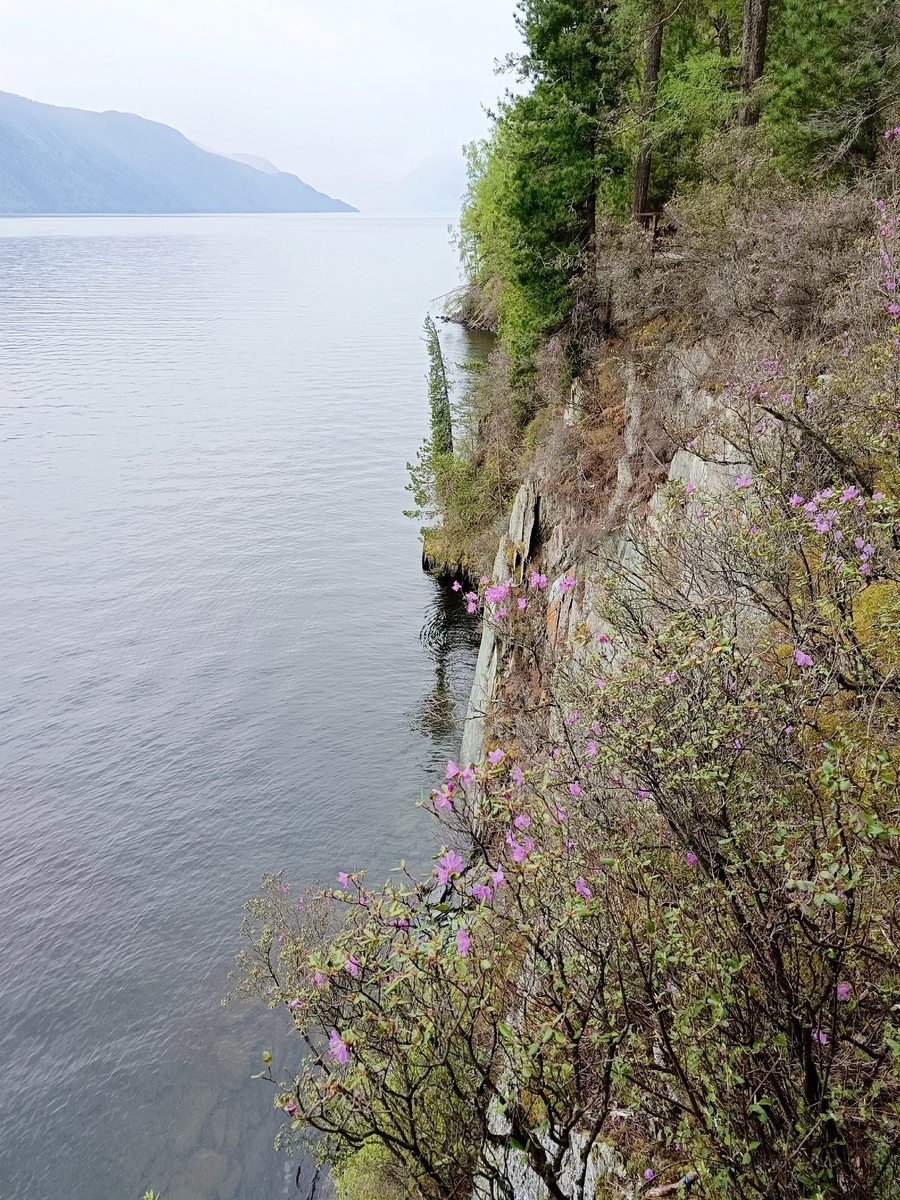 Маральник и Телецкое озеро