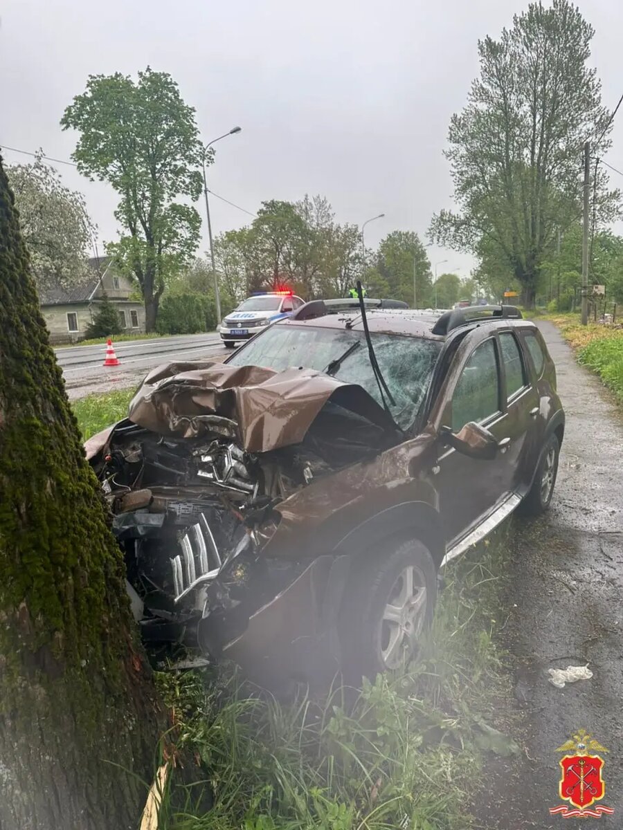    Фото: пресс-служба ГУ МВД России по Петербургу и Ленобласти.