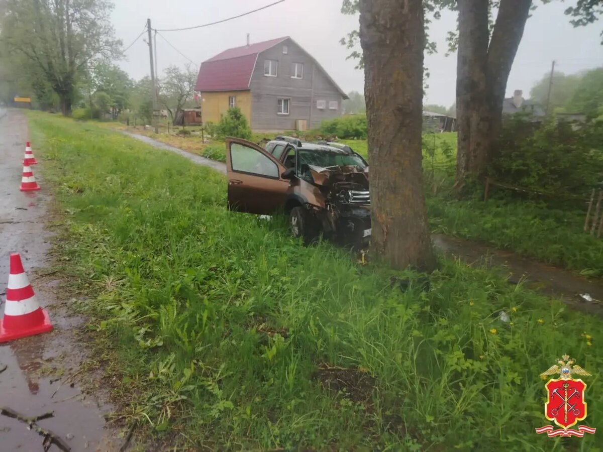    Фото: пресс-служба ГУ МВД России по Петербургу и Ленобласти.