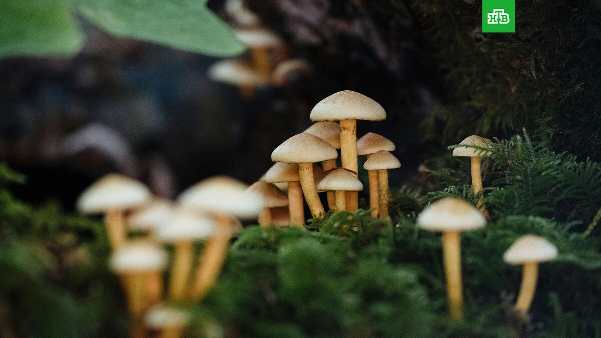    Фото: Jesse Bauer / unsplash.com