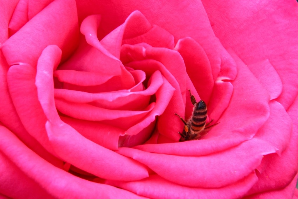    Фото © Сергей Лантюхов / Абзац