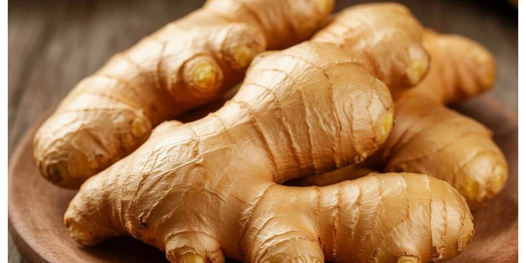 Имбирь: корень здоровья. Польза, вред и секреты употребления.