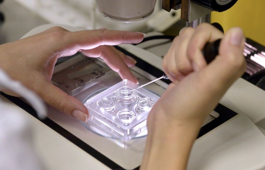    Ребенок из пробирки тоже имеет право на пенсию: законопроект Госдумы