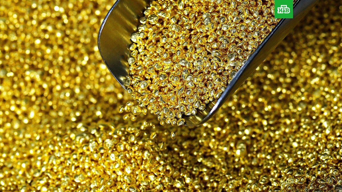    Фото: РИА Новости © 2025, Илья Наймушин