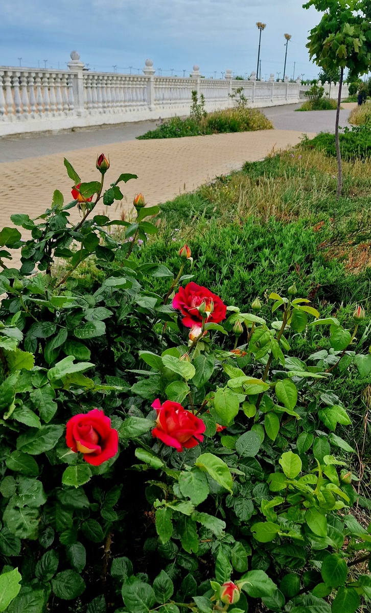 г. Каспийск, набережная