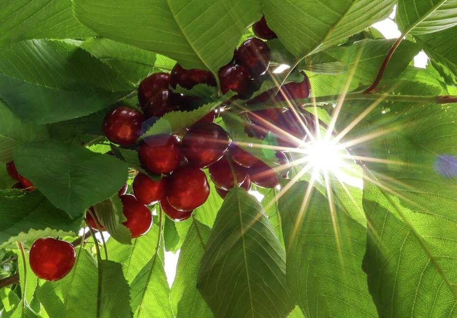    Виталий Тимкив/РИА Новости