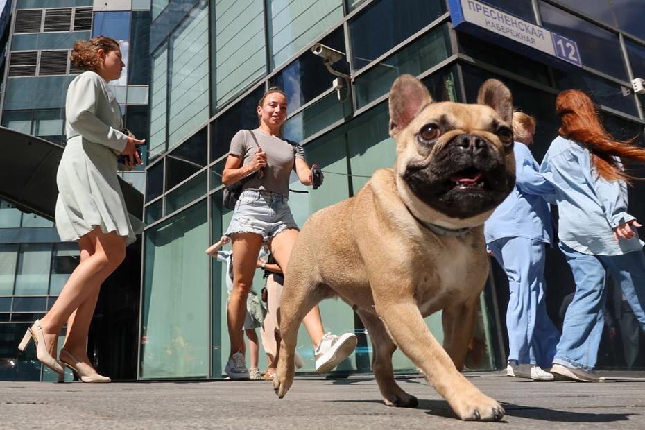    Алексей Белкин/NEWS.ru