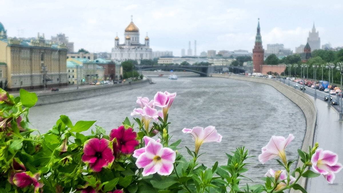    Фото: Мобильный репортер / АГН Москва