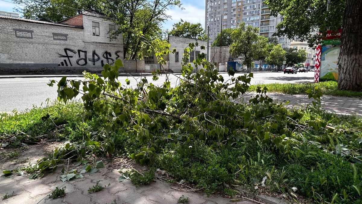     Источник: rostovgazeta.ru