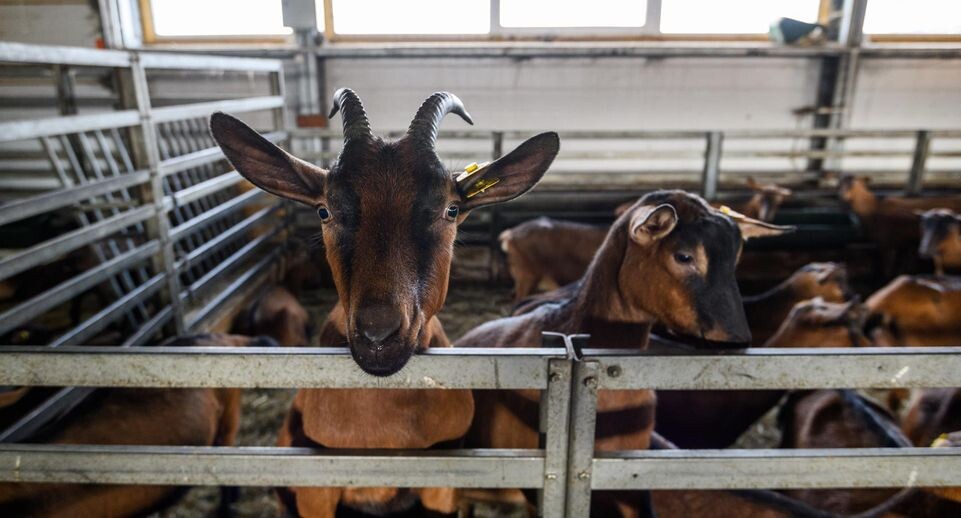    фото: Медиасток.РФ