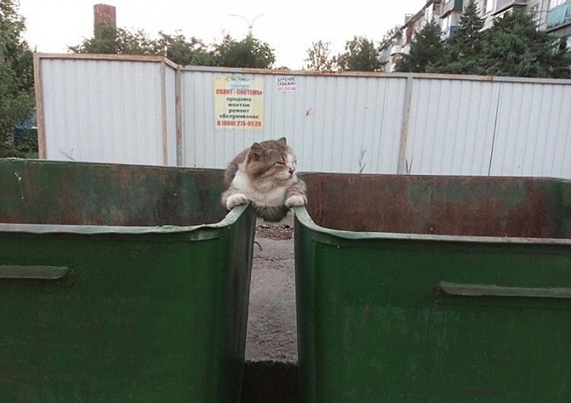 источник Яндекс-картинки