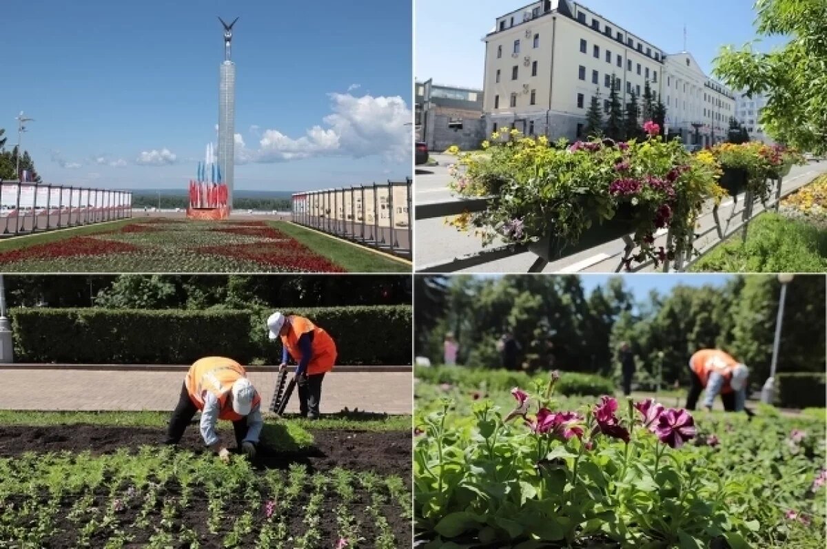    В Самаре за месяц высажено более 14 тысяч квадратных метров цветников