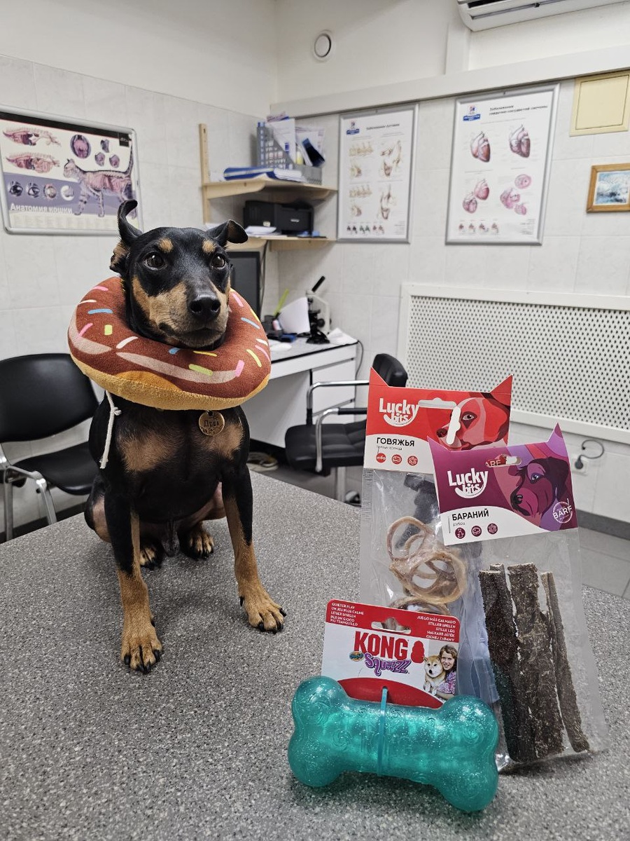 Конкурс вкусняшек в нашей группе ВК