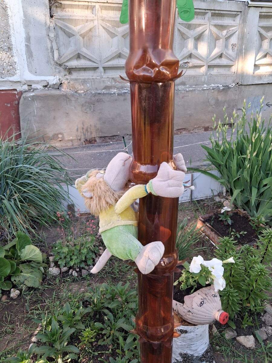 Жизнь украшает то, что могло быть выброшено. Фото автора. 