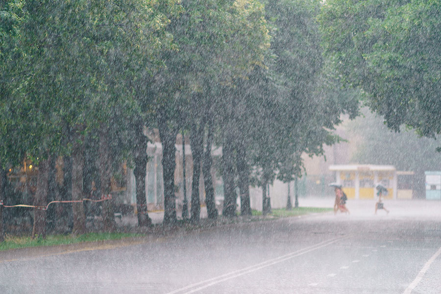    Фото: YuryKara / Shutterstock.com