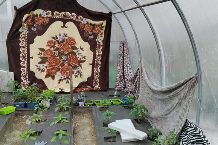    Фото из ТГ-канала «Новости Верх-Тулы»