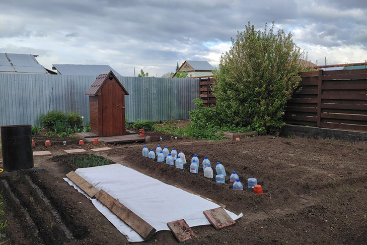 Фото из ТГ-канала «Новости Верх-Тулы».📷
