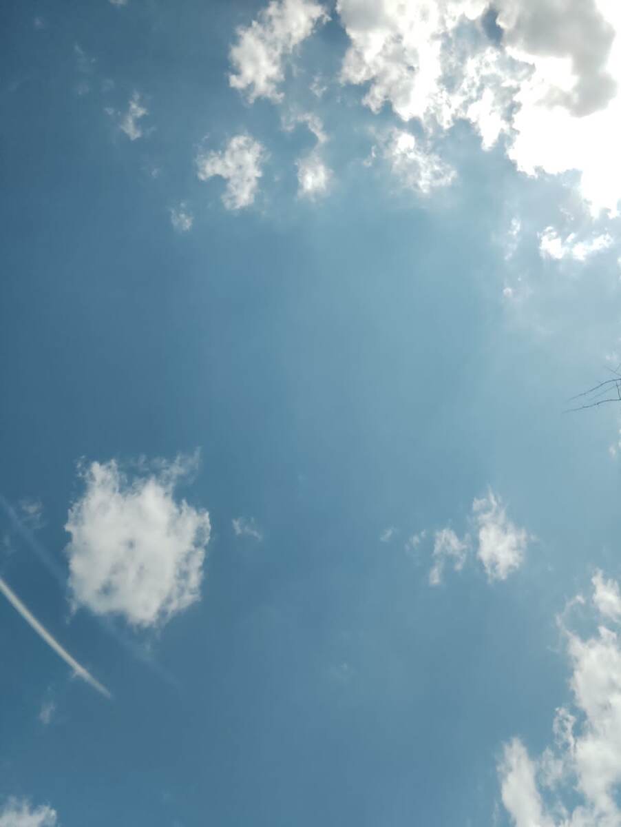 Вечером поедем на дачу. Успокою себя этим.