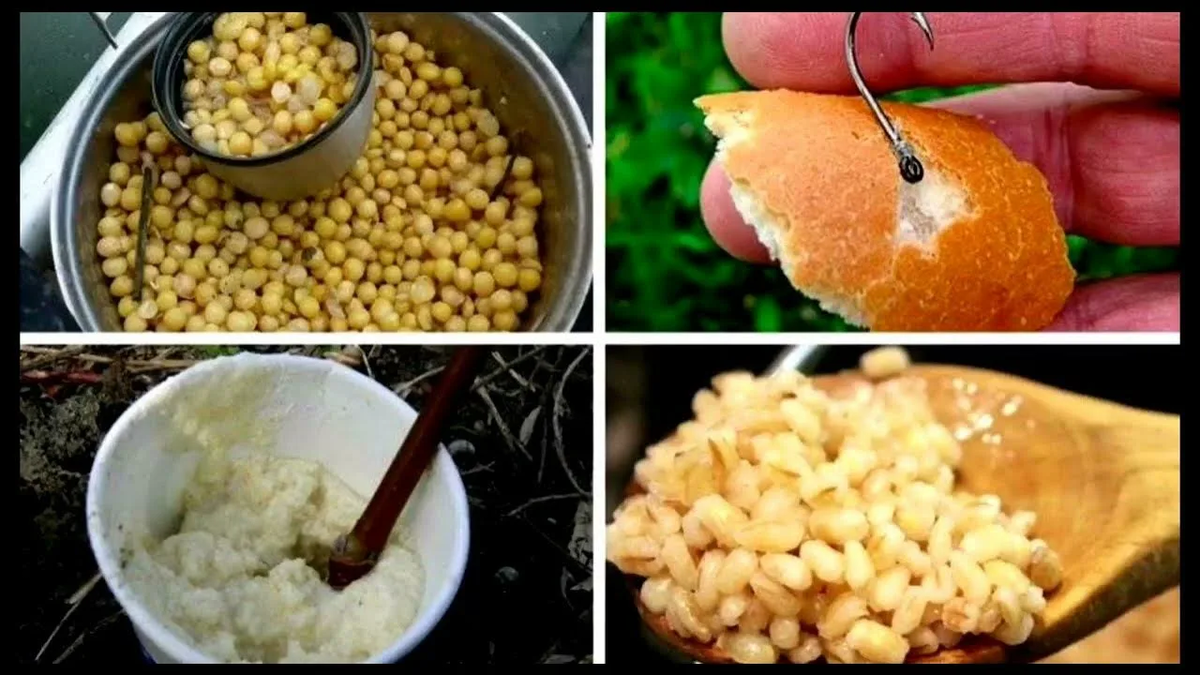 Фото с сайта: https://avatars.mds.yandex.net