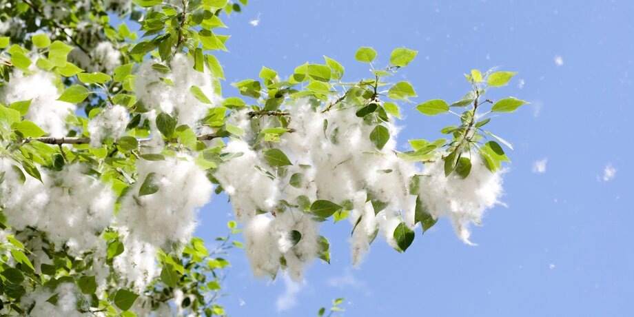 Фото: depositphotos/2happy