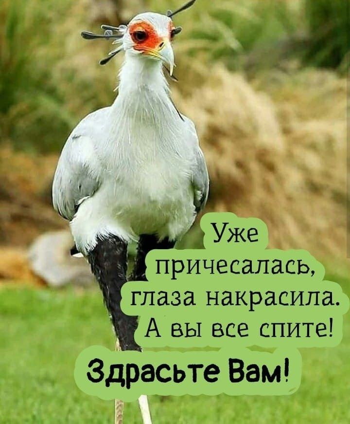 Фото из интернета.