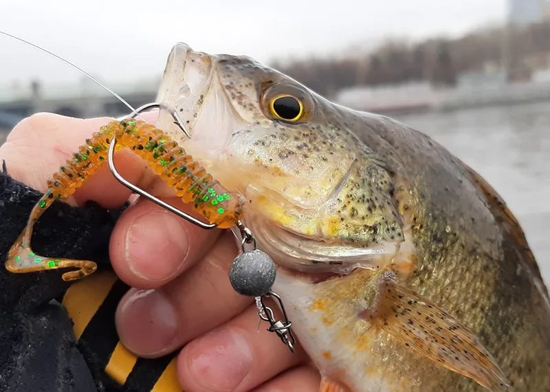 Фото с сайтта: https://salmoru.com/upload/medialibrary/b8a/b8af8a927c3e67dd4c1fee53f4b9941a.jpg