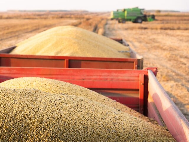    Фото: 123RF/fotokostic