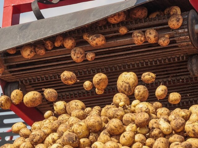    Фото: ТАСС/Дмитрий Рогулин