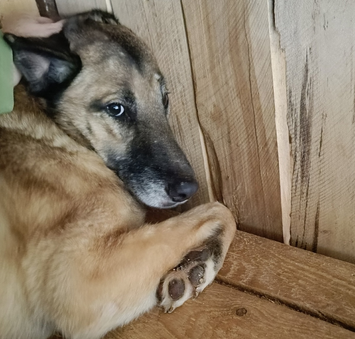 Кит принимает гостей