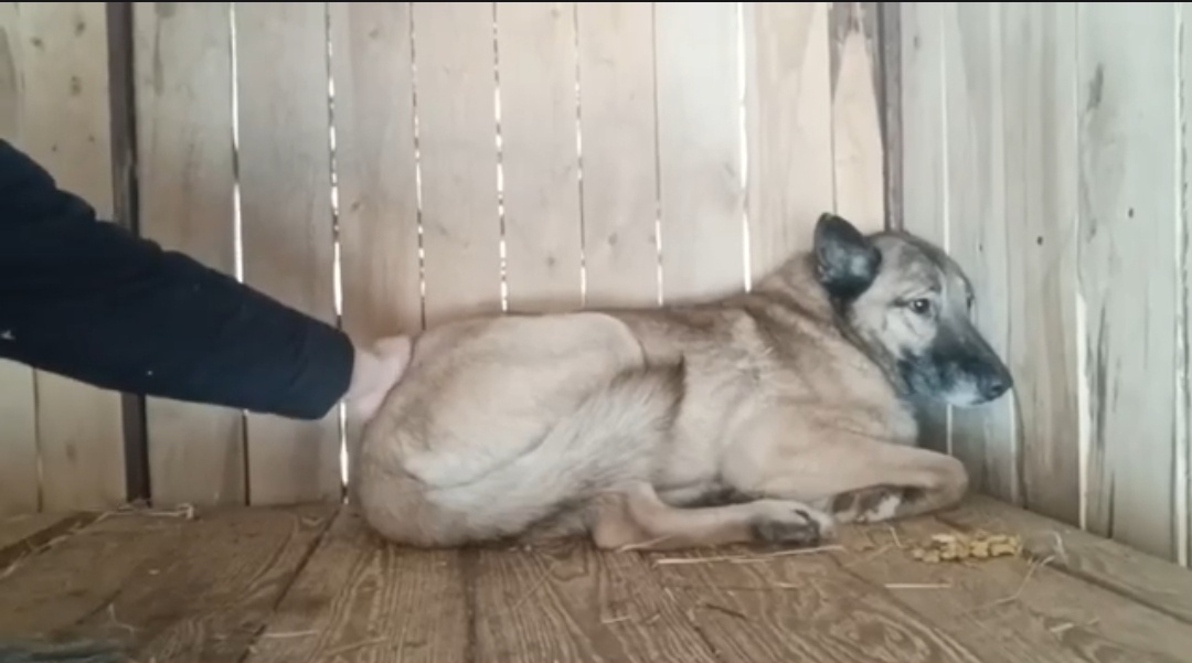 Наталья молодец, не оставляет попытки социализировать Кита