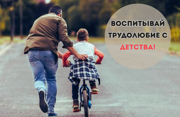 Как приучить ребёнка к труду с самого детства