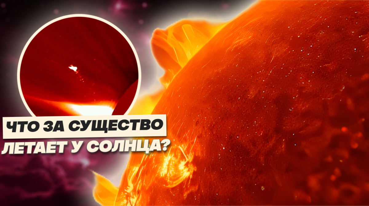 Символ или сигнал? Над Солнцем появилась фигура гигантской птицы