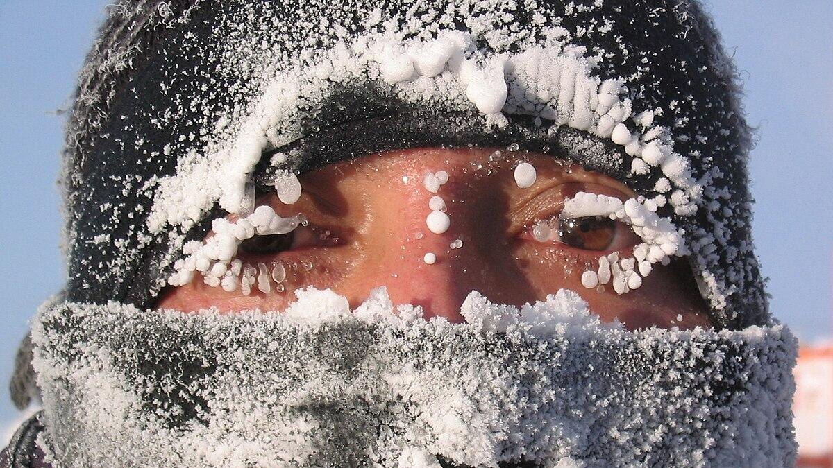 Минус сорок по-настоящему чувствуешь кожей. И бровями.