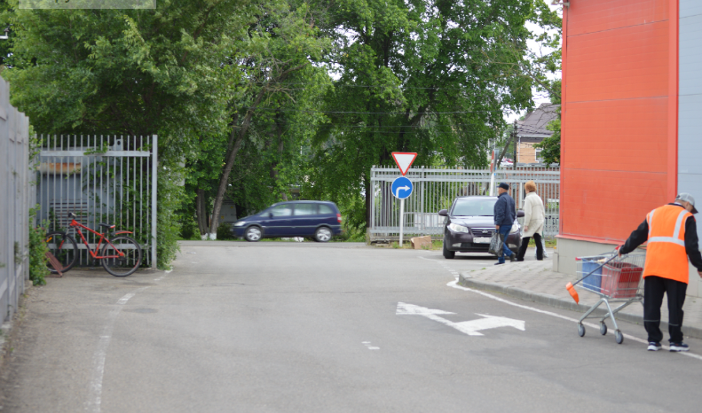 Фото автора. Май 2025. Весна постепенно переходит в лето.