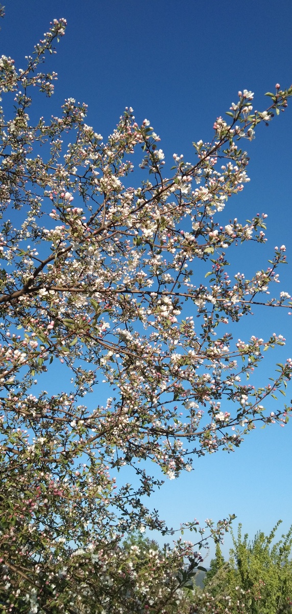 По дороге на работу вот такая красота