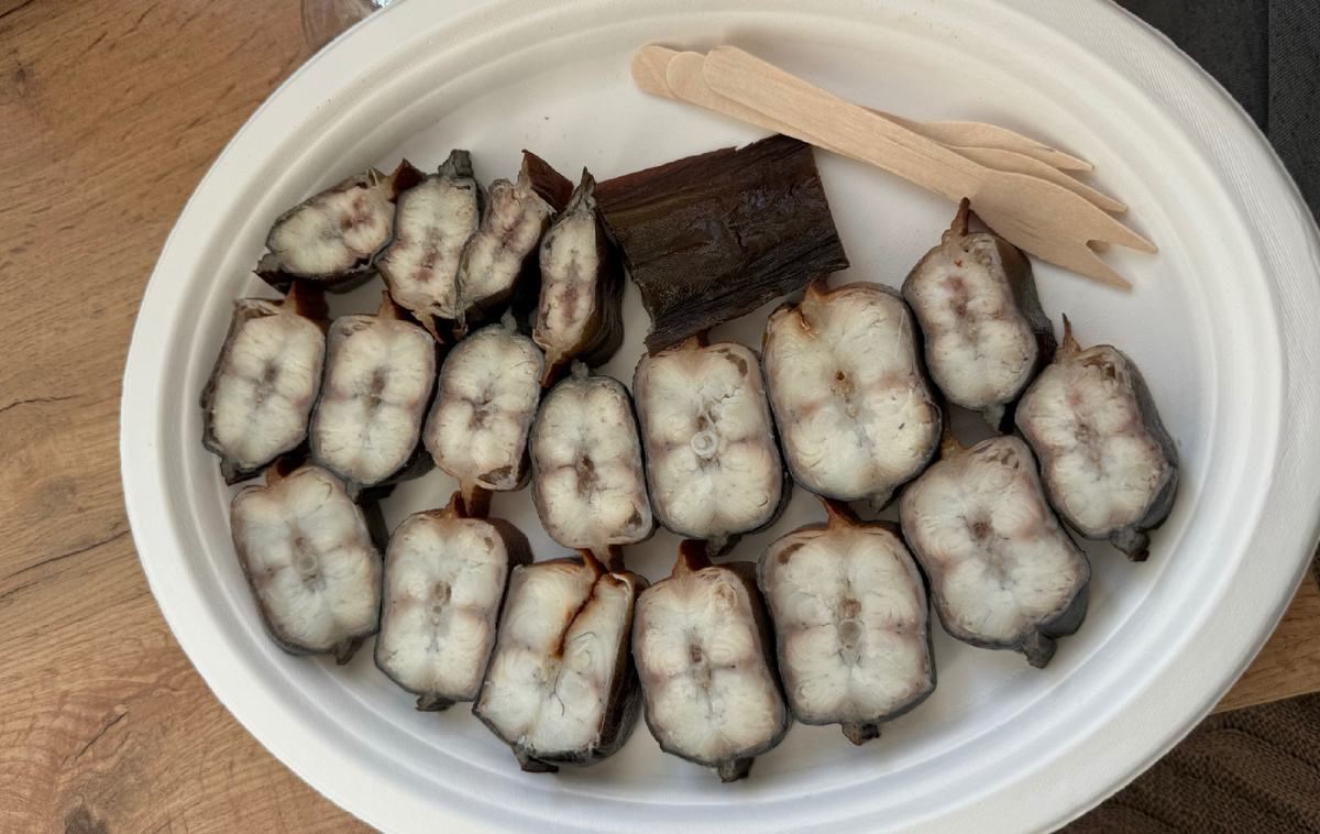 Балтийский угорь