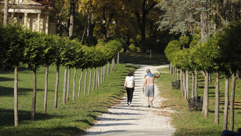      Фото: ИА «Победа26»
