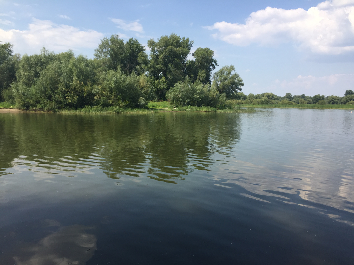 берег реки "Сок" в Самарской области