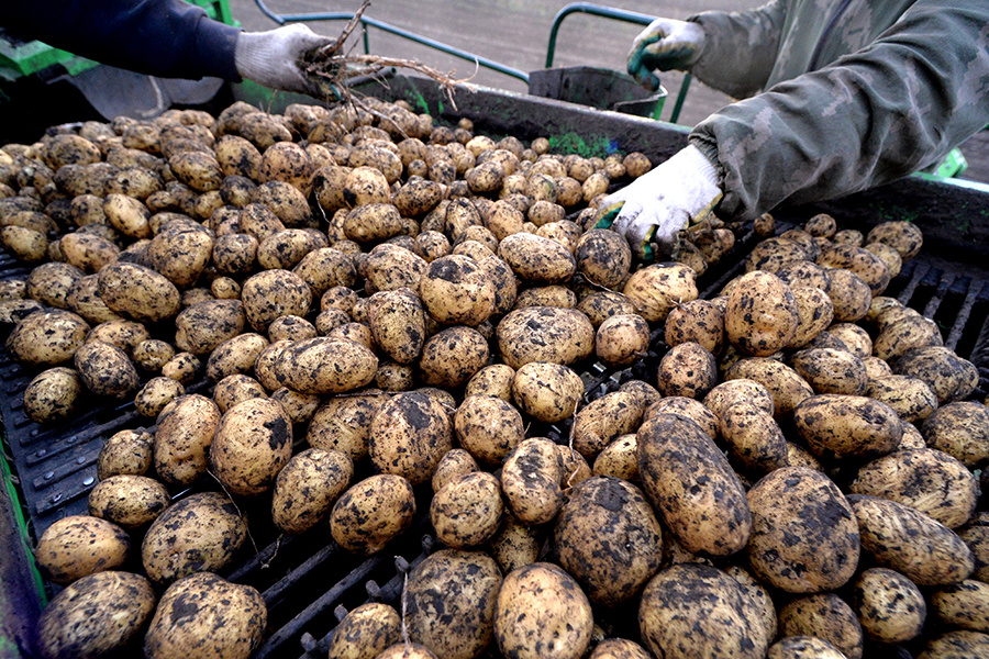    © Илья Наймушин/РИА Новости